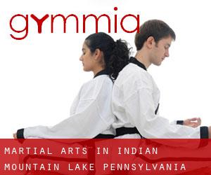 Martial Arts in Indian Mountain Lake (Pennsylvania)