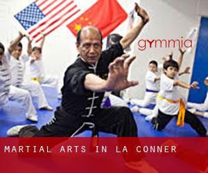 Martial Arts in La Conner