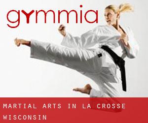 Martial Arts in La Crosse (Wisconsin)