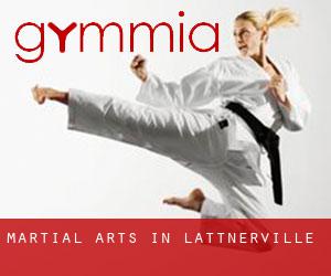 Martial Arts in Lattnerville
