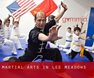 Martial Arts in Lee Meadows
