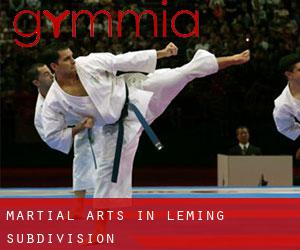Martial Arts in Leming Subdivision