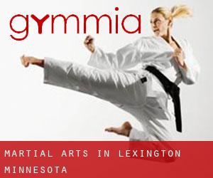 Martial Arts in Lexington (Minnesota)