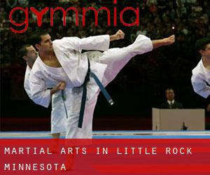 Martial Arts in Little Rock (Minnesota)