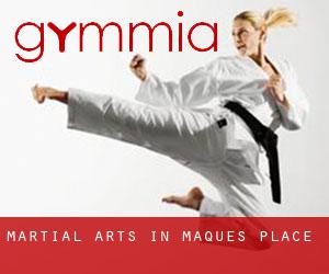 Martial Arts in Maques Place