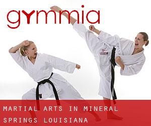 Martial Arts in Mineral Springs (Louisiana)