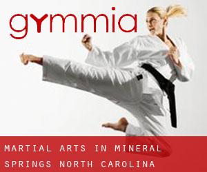 Martial Arts in Mineral Springs (North Carolina)