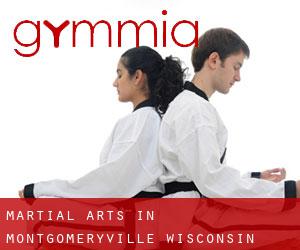 Martial Arts in Montgomeryville (Wisconsin)