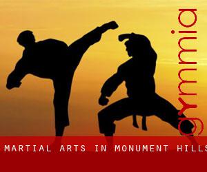 Martial Arts in Monument Hills