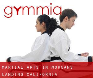 Martial Arts in Morgans Landing (California)