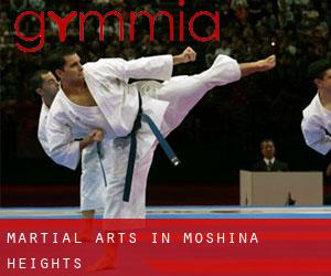 Martial Arts in Moshina Heights