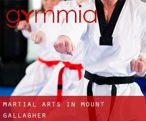 Martial Arts in Mount Gallagher