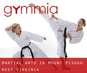 Martial Arts in Mount Pisgah (West Virginia)