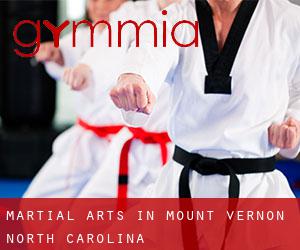 Martial Arts in Mount Vernon (North Carolina)
