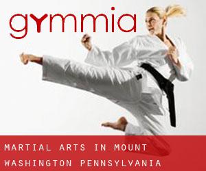 Martial Arts in Mount Washington (Pennsylvania)