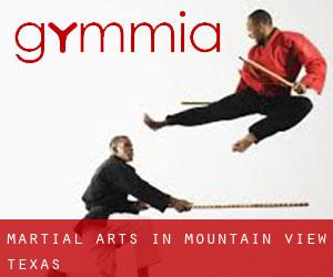 Martial Arts in Mountain View (Texas)
