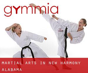 Martial Arts in New Harmony (Alabama)