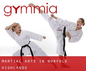 Martial Arts in Norfolk Highlands