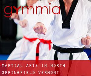 Martial Arts in North Springfield (Vermont)
