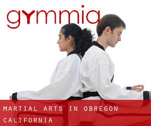 Martial Arts in Obregon (California)