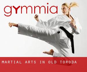 Martial Arts in Old Toroda