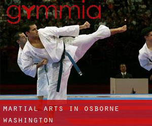 Martial Arts in Osborne (Washington)