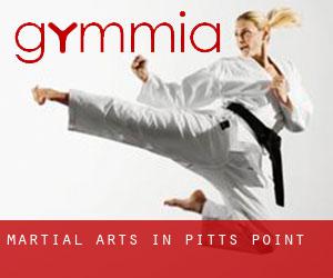Martial Arts in Pitts Point
