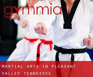 Martial Arts in Pleasant Valley (Tennessee)
