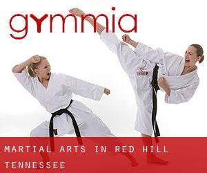 Martial Arts in Red Hill (Tennessee)