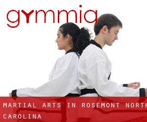 Martial Arts in Rosemont (North Carolina)