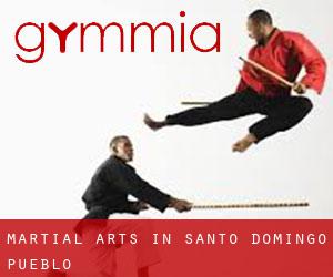 Martial Arts in Santo Domingo Pueblo