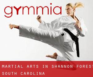 Martial Arts in Shannon Forest (South Carolina)