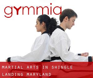 Martial Arts in Shingle Landing (Maryland)