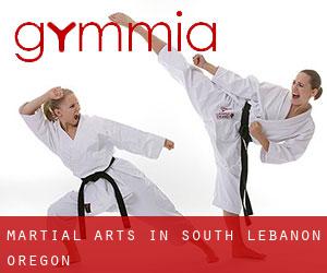 Martial Arts in South Lebanon (Oregon)