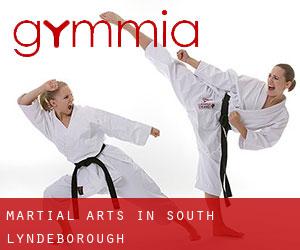 Martial Arts in South Lyndeborough