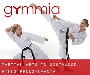 Martial Arts in Southwood Hills (Pennsylvania)