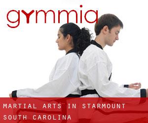 Martial Arts in Starmount (South Carolina)