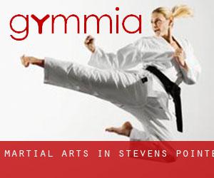 Martial Arts in Stevens Pointe