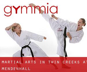 Martial Arts in Twin Creeks at Mendenhall