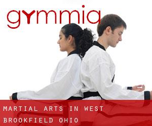Martial Arts in West Brookfield (Ohio)