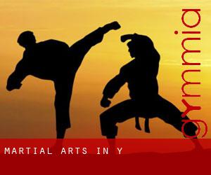 Martial Arts in Y