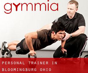 Personal Trainer in Bloomingburg (Ohio)