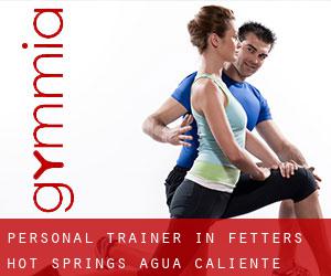 Personal Trainer in Fetters Hot Springs-Agua Caliente