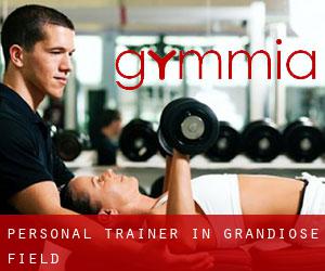 Personal Trainer in Grandiose Field