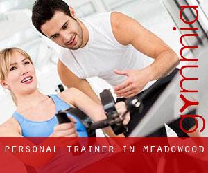 Personal Trainer in Meadowood