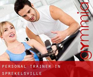 Personal Trainer in Sprekelsville