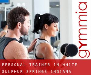 Personal Trainer in White Sulphur Springs (Indiana)