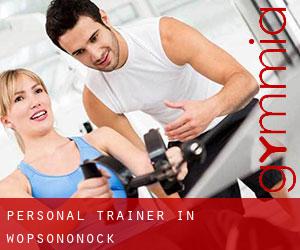 Personal Trainer in Wopsononock