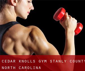 Cedar Knolls gym (Stanly County, North Carolina)