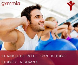 Chamblees Mill gym (Blount County, Alabama)